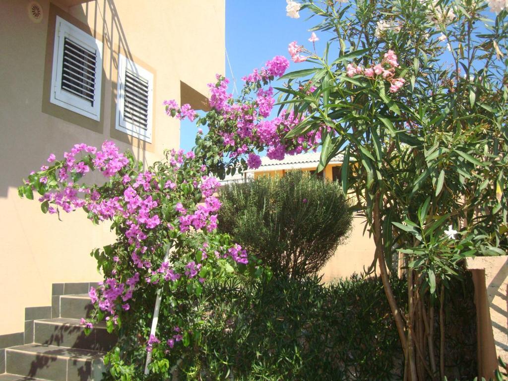 Apartments Mila Krimovica Oda fotoğraf